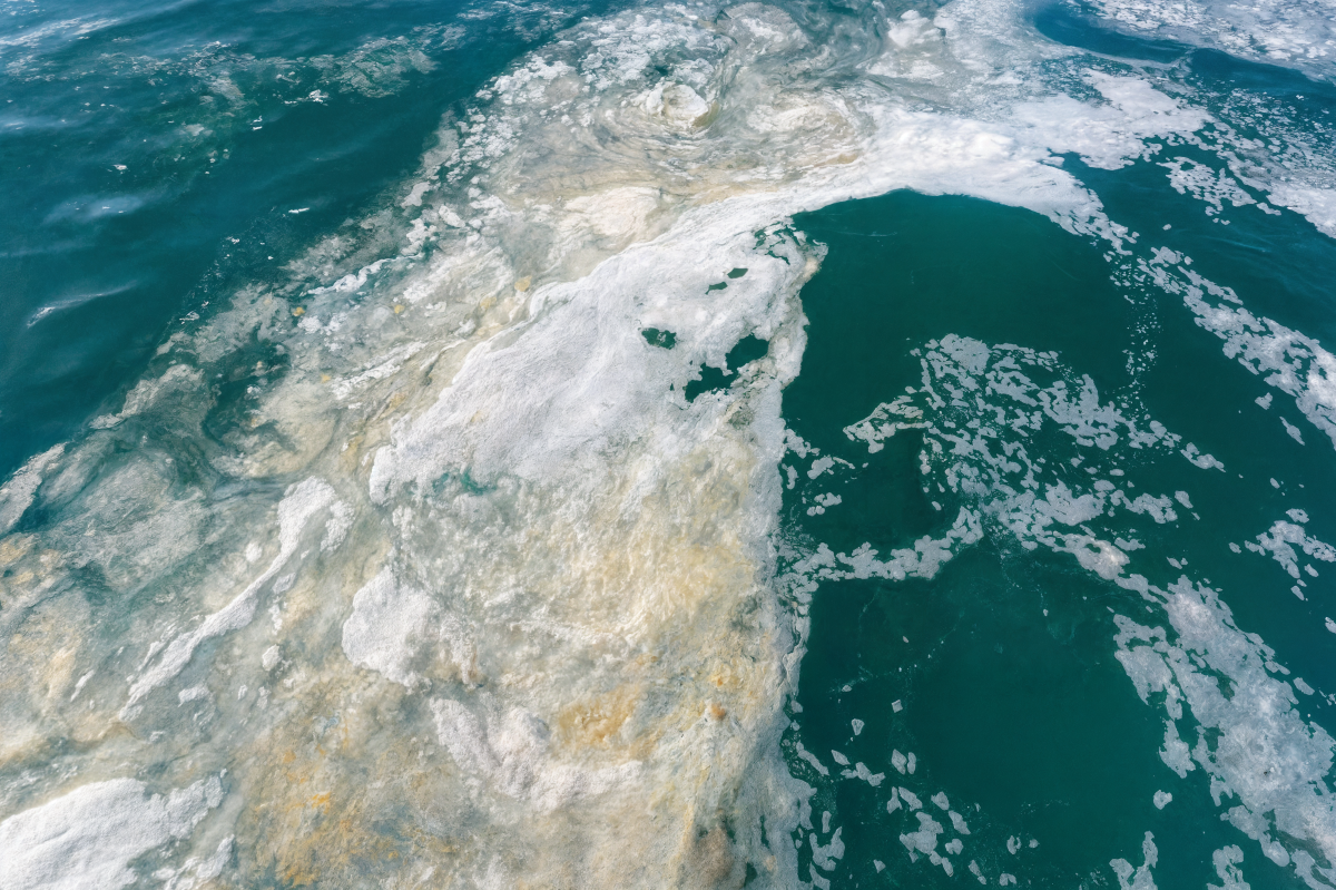 Müsilaj Oluşumları Yeniden Yoğunlaşıyor