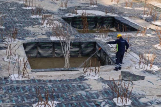 İzmir Büyükşehir Belediyesi, mevsimsel sineklerin zararsız olduğunu ve vektörle mücadele çalışmalarının sürdüğünü açıkladı.