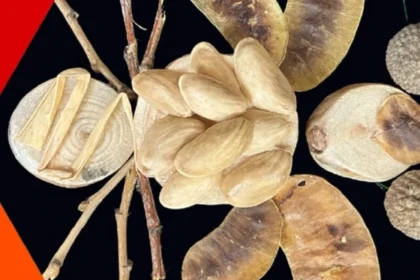 İzmit Oyuncak Müzesi'nde düzenlenen yaratıcı atölye çalışmasından bir kesit