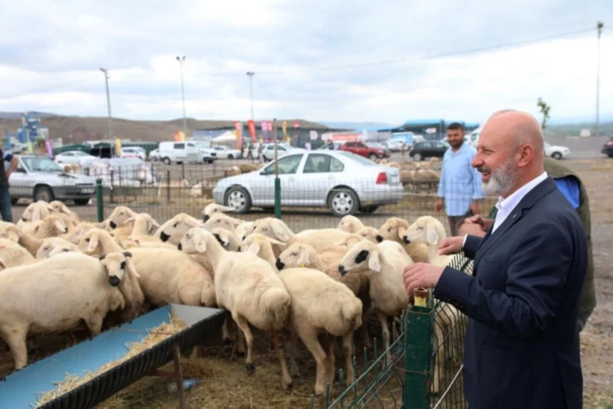 Kocasinan Belediyesi Kurban Bayramı kurban kesim ve satış alanı hazırlıkları