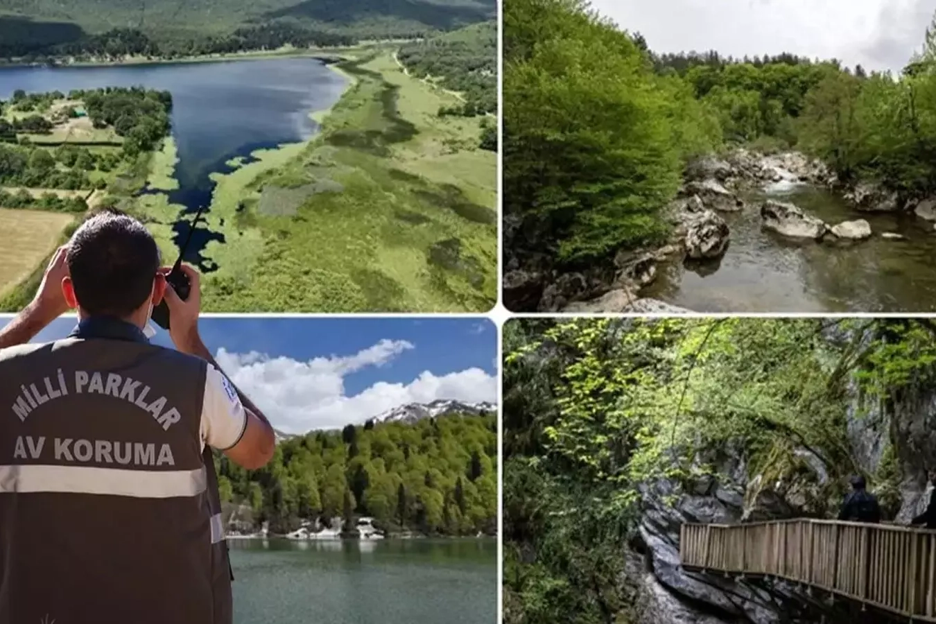 Doğa Koruma ve Milli Parklar uzmanlık yönetmeliği ve tez zorunluluğu