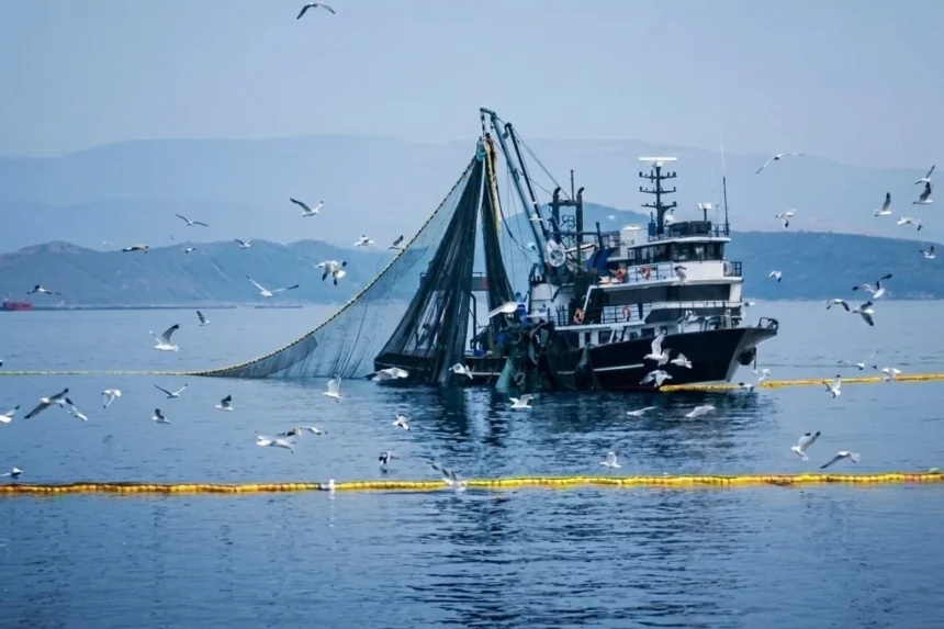 Denizlerde av yasağı başlangıç tarihi ve kapsamı hakkında bilgi