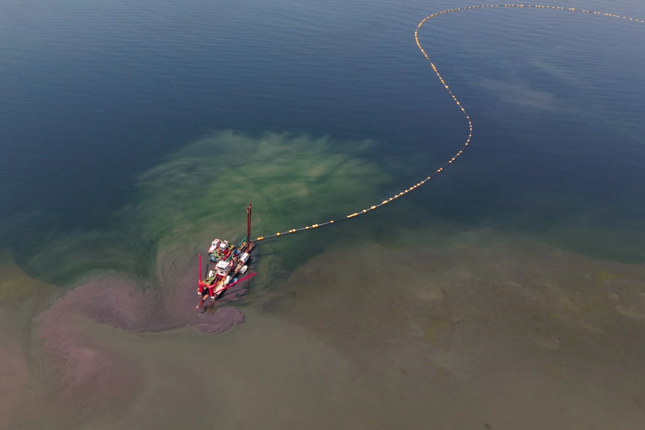 İzmit Körfezi'nde yapılan dip çamuru temizleme projesi sonrası yunuslar ve diğer deniz canlılarının geri dönüşü