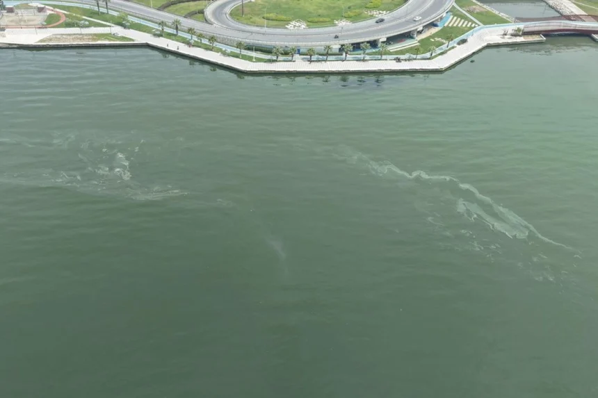 İzmir Körfezi'nde dron ile tespit edilen dış kaynaklı kirlilik