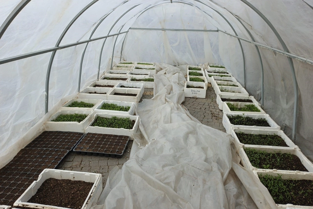 Kayseri Doğal Ürünler Pazarı'nda yeni sezona hazırlık yapan üreticiler