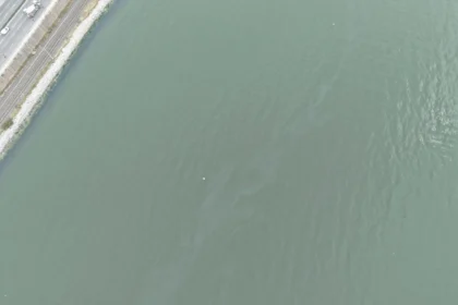 İzmir Körfezi'nde dış kaynaklı kirlilik tespit edildi, Alaybey Tersanesi yakınında yakıt atıkları görüldü.