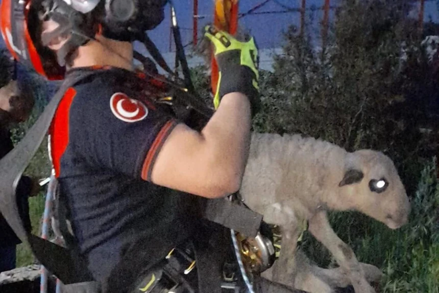 İzmir itfaiyesi ekipleri, kuyuya düşen kuzuyu kurtarıyor.