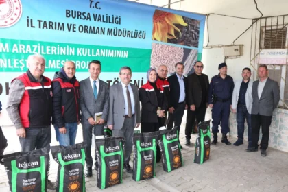 Bursa'da ayçiçeği üreticilerine hibe tohum dağıtımı