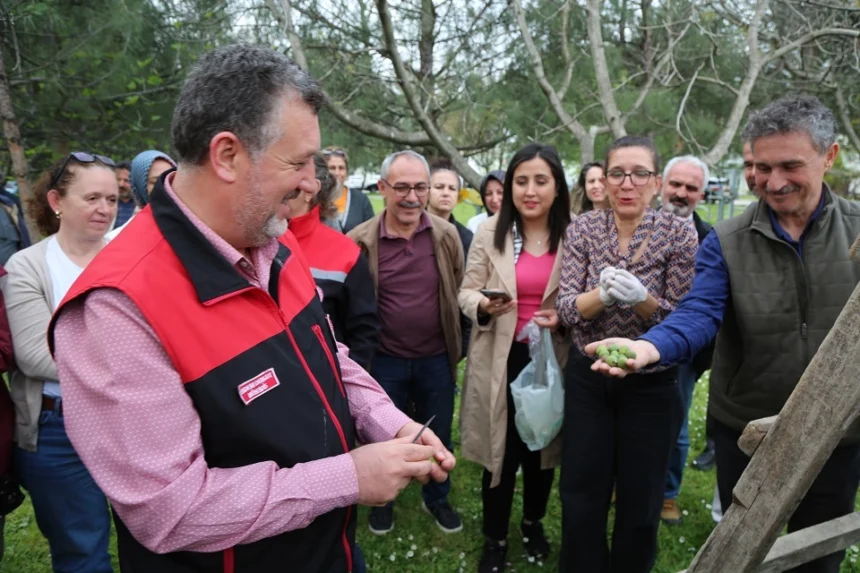 Bursa Siyahı incirde kaliteyi artırmak için denetimler ve eğitimler sıkılaştırıldı.