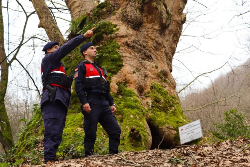 Yalova'da turizm bölgelerinde güvenlik önlemleri alan jandarma ekipleri
