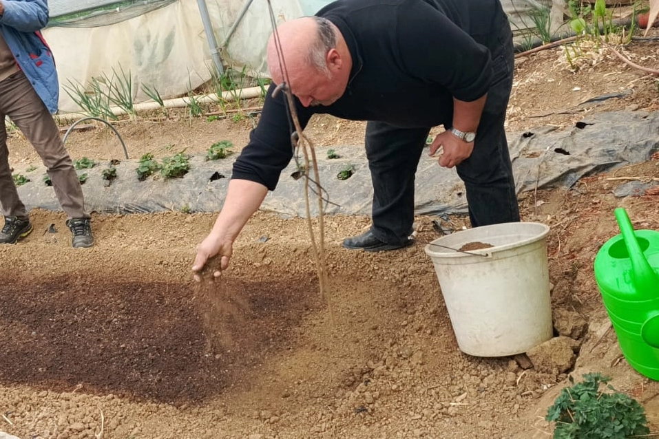Bilecik Pazaryeri'nde tütün üretimiyle yeni bir geçim kapısı açılıyor
