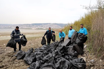 Kocaeli'de Mavi Takım ekipleri tarafından sahil temizliği yapılıyor ve toplanan atıklar gösteriliyor.