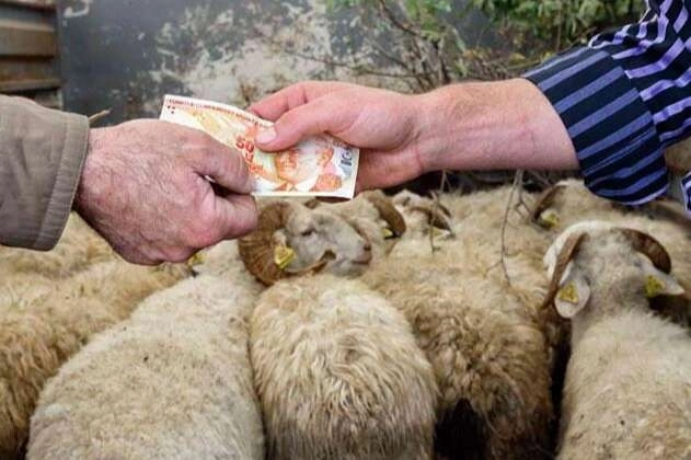 2026 Kurban Hizmetleri Tebliği yayımlandı, kesim yerleri ve cezalar belirlendi.