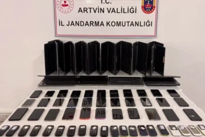 Artvin merkezli operasyonda internet dolandırıcılığı ve tehdit suçlarına karıştığı belirlenen 35 kişi gözaltına alındı.
