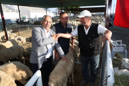 Talas'ta Kurban Bayramı için belirlenen hayvan satış ve kesim yerleri tabelası