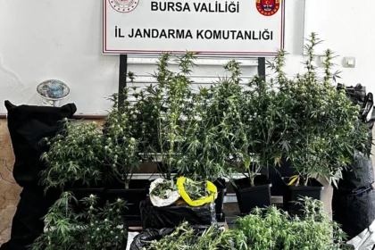 Bursa'da jandarma ekiplerinin düzenlediği operasyonda ele geçirilen uyuşturucu maddeler ve ekipmanlar.