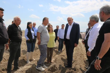 Konya'da patates üretiminde yerli tohuma geçiş ve artan ekim alanları